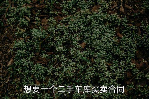 想要一個(gè)二手車庫(kù)買賣合同