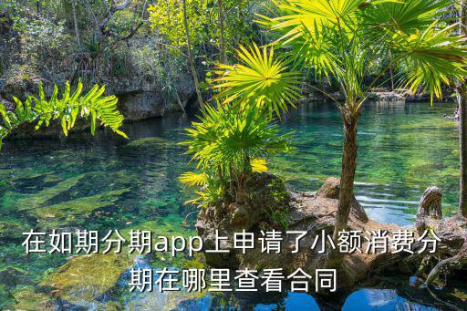 在如期分期app上申請了小額消費分期在哪里查看合同