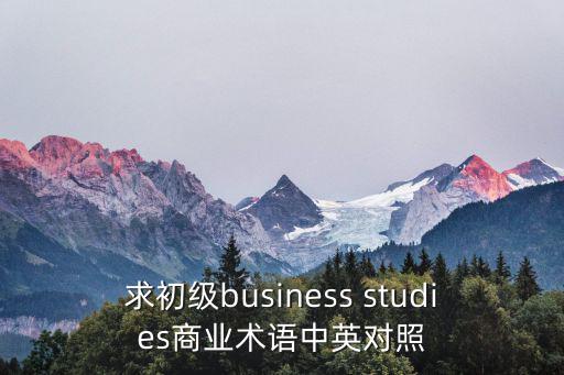 求初級(jí)business studies商業(yè)術(shù)語(yǔ)中英對(duì)照