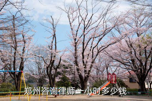 鄭州咨詢律師一小時(shí)多少錢