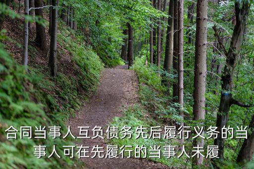 合同當(dāng)事人互負(fù)債務(wù)先后履行義務(wù)的當(dāng)事人可在先履行的當(dāng)事人未履
