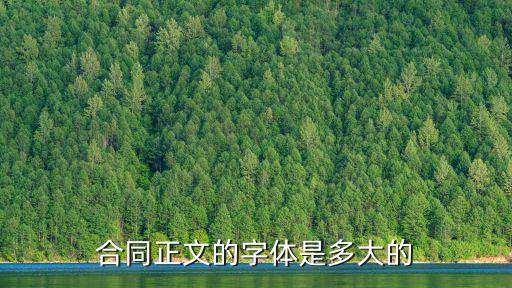 合同正文的字體是多大的
