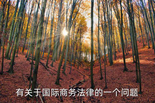有關(guān)于國(guó)際商務(wù)法律的一個(gè)問題