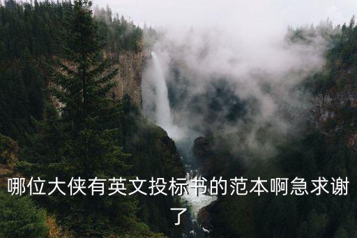 英文招標(biāo)文件，哪位大俠有英文投標(biāo)書的范本啊急求謝了