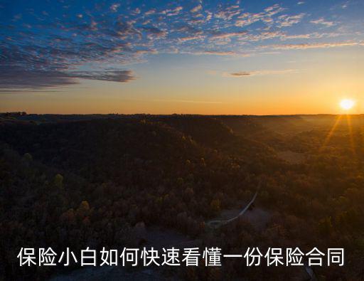 保險(xiǎn)小白如何快速看懂一份保險(xiǎn)合同