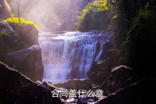 合同書(shū)蓋什么章，合同蓋什么章