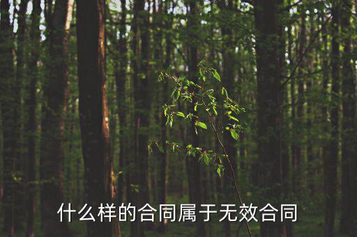 什么樣的合同屬于無效合同