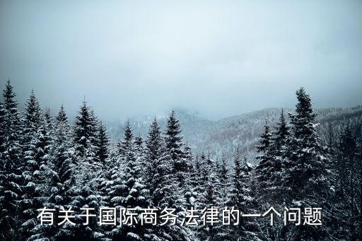 國際商務(wù)法律，有關(guān)于國際商務(wù)法律的一個(gè)問題