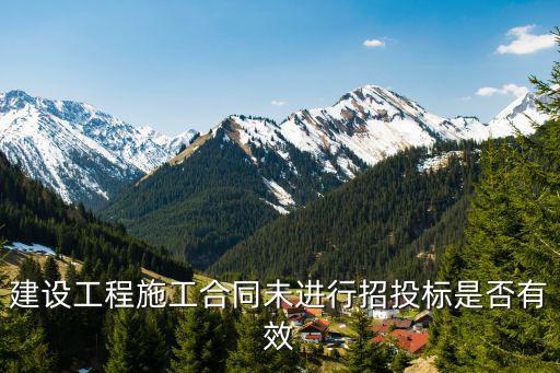建設(shè)工程施工合同未進(jìn)行招投標(biāo)是否有效