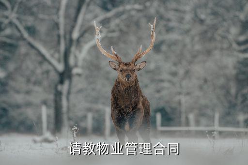 物業(yè)管理合同書完整版安置房，物業(yè)管理合同