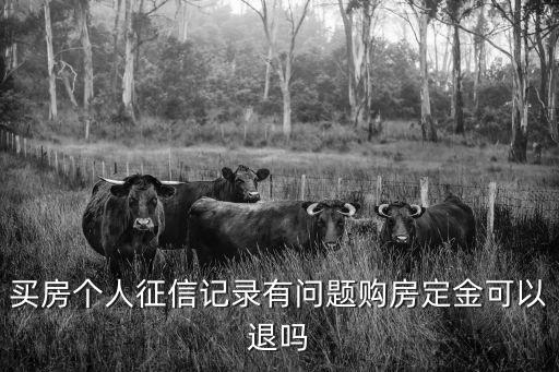 買房征信不過關(guān)定金能退回嗎，因征信問題辦不了房貸定金能退下來嗎