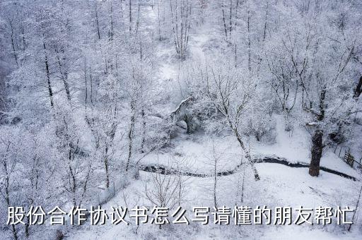 股份合作協(xié)議書怎么寫請懂的朋友幫忙
