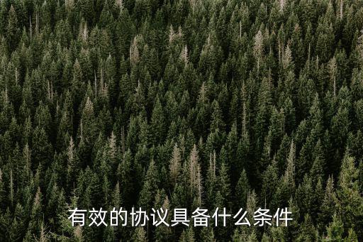 有效的協(xié)議具備什么條件