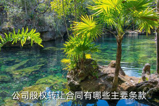 公司股權(quán)轉(zhuǎn)讓合同有哪些主要條款