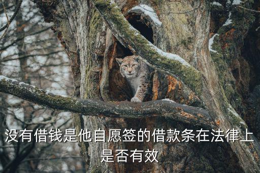 沒有借錢是他自愿簽的借款條在法律上是否有效