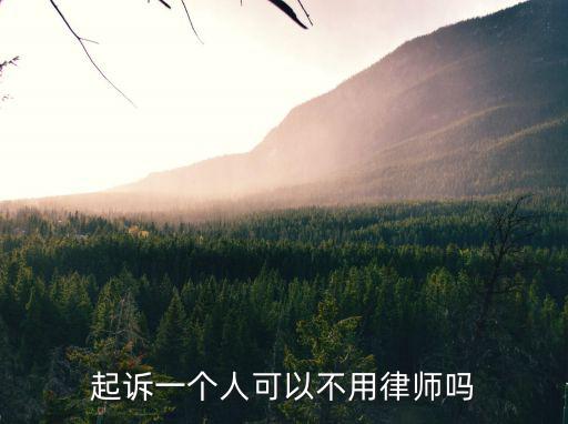 起訴一個人可以不用律師嗎