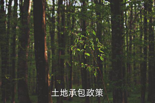 集體土地承包法律規(guī)定，請問村委對于將小組的土地發(fā)包后土地承包費如何分成有哪些法律規(guī)