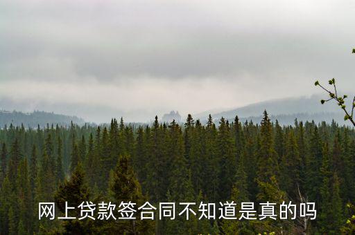 借款簽電子合同新騙局，我想知道我是不是被騙了網(wǎng)貸貸款簽了電子合同然后里面有  搜