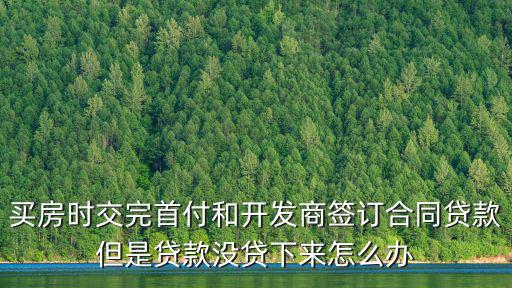 買房時(shí)交完首付和開(kāi)發(fā)商簽訂合同貸款但是貸款沒(méi)貸下來(lái)怎么辦
