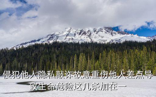 侵犯他人隱私敲詐故意重傷他人差點(diǎn)導(dǎo)致生命危險(xiǎn)這幾條加在一