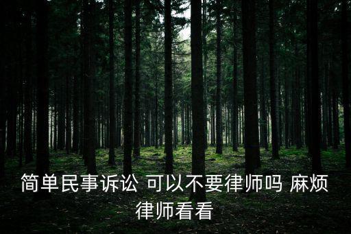 簡(jiǎn)單民事訴訟 可以不要律師嗎 麻煩律師看看