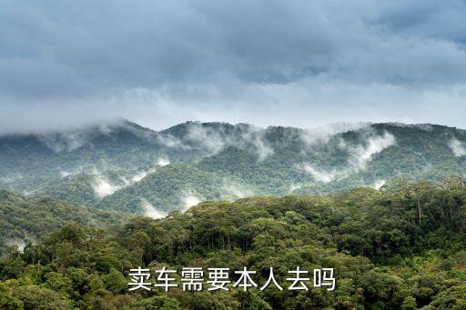 賣車需要本人去嗎
