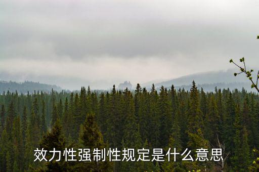 效力性強制性規(guī)定是什么意思