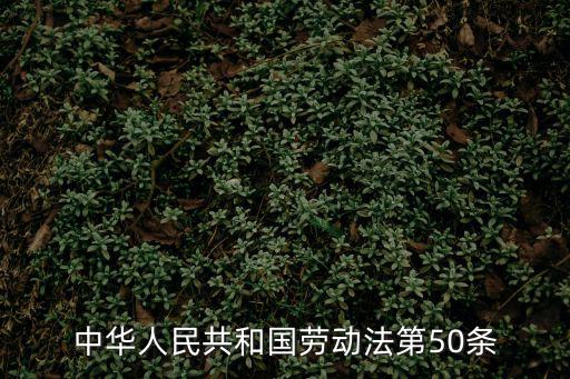 中華人民共和國勞動法第50條