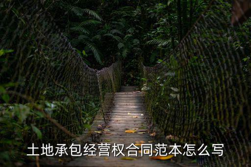 乙方的權(quán)利和義務(wù)模板，求建設(shè)施工合同轉(zhuǎn)讓權(quán)利及義務(wù)協(xié)議書(shū)的范本啊