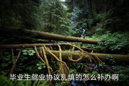 畢業(yè)生就業(yè)協(xié)議亂填的怎么補(bǔ)辦啊