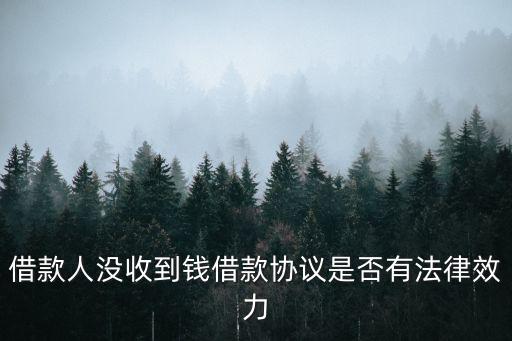 借款人沒收到錢借款協(xié)議是否有法律效力