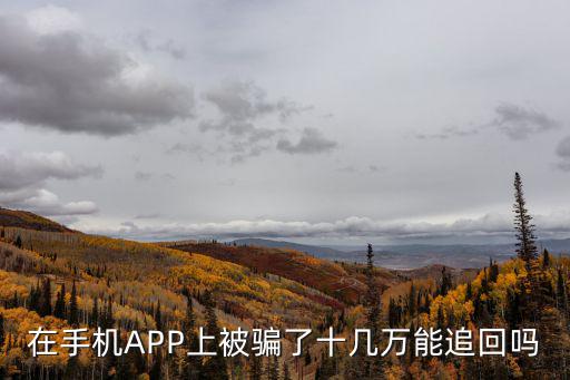 在手機APP上被騙了十幾萬能追回嗎