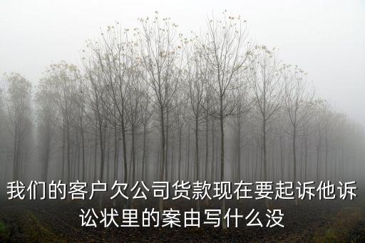 我們的客戶欠公司貨款現(xiàn)在要起訴他訴訟狀里的案由寫什么沒