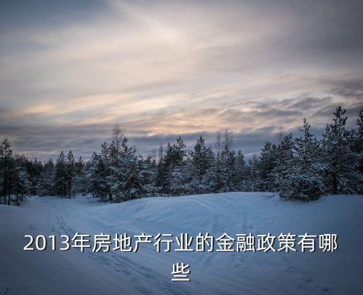 2013年房地產(chǎn)行業(yè)的金融政策有哪些