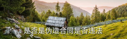 做假合同犯法嗎，假合同犯法不