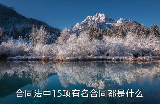 合同法中15項有名合同都是什么
