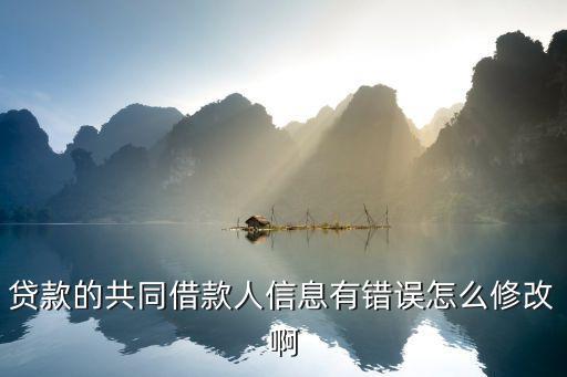 貸款的共同借款人信息有錯(cuò)誤怎么修改啊