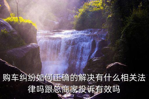 購車糾紛如何正確的解決有什么相關(guān)法律嗎跟總商家投訴有效嗎