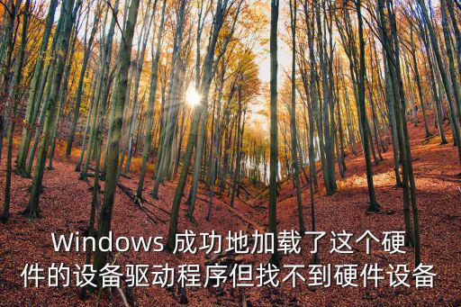Windows 成功地加載了這個(gè)硬件的設(shè)備驅(qū)動(dòng)程序但找不到硬件設(shè)備