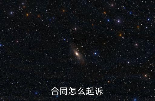 合同怎么起訴