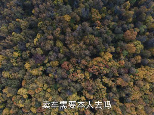 賣車，賣車需要什么資料