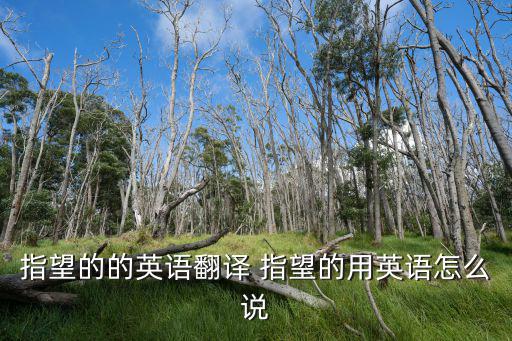 指望的的英語翻譯 指望的用英語怎么說