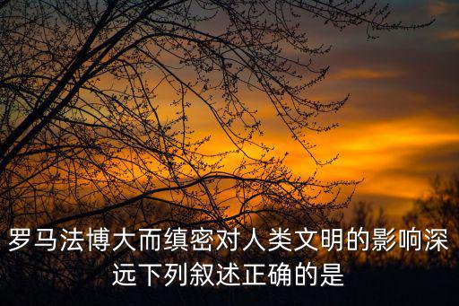 2022年民法典考試題及答案，羅馬法博大而縝密對人類文明的影響深遠下列敘述正確的是