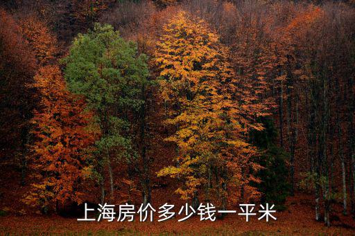 上海房價(jià)多少錢一平米
