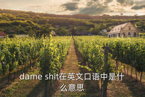 dame shit在英文口語中是什么意思