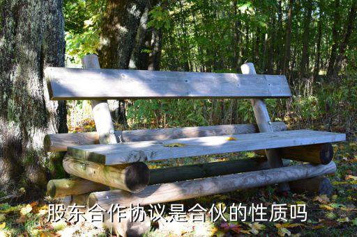 股東合作協(xié)議是合伙的性質(zhì)嗎