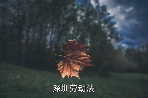 深圳市勞動關(guān)系促進(jìn)條例，深圳市最新勞動法