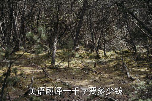 英語翻譯一千字要多少錢