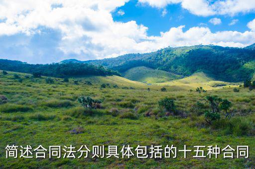 簡(jiǎn)述合同法分則具體包括的十五種合同
