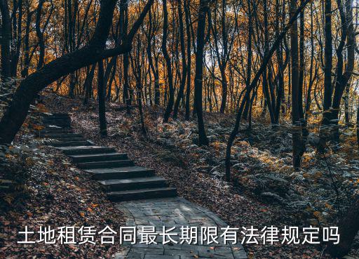 土地租賃合同最長期限有法律規(guī)定嗎